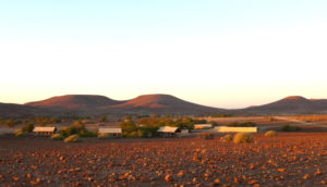 desert-rhino-camp