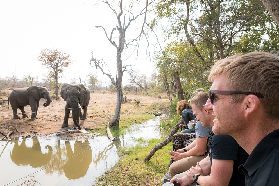 09 Wilderness Trail Elephanten Elela Africa