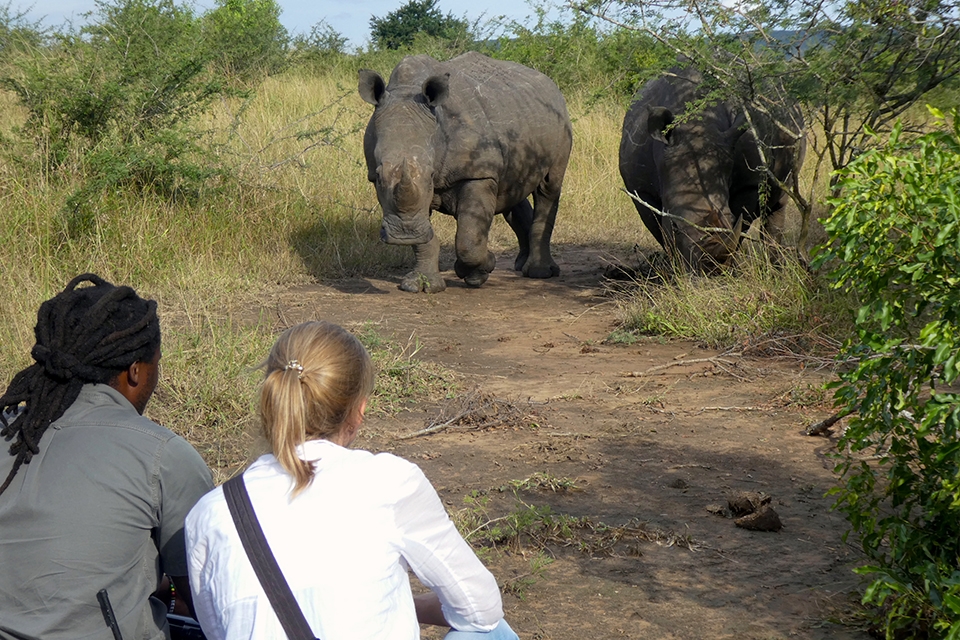 10 Rhino Tracking Elela Africa