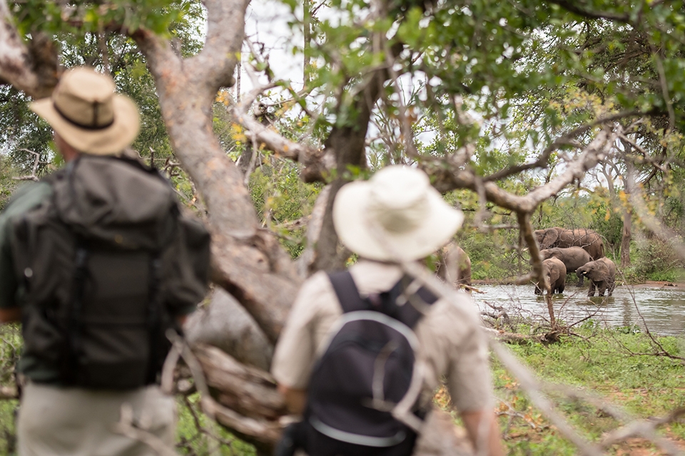 15 TITEL Wilderness Trail Elela Africa