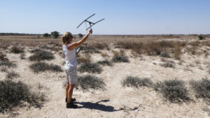 Als Urlaubs-Ranger begeben Sie sich via GPS Tracking auf die Spuren der Geparden.