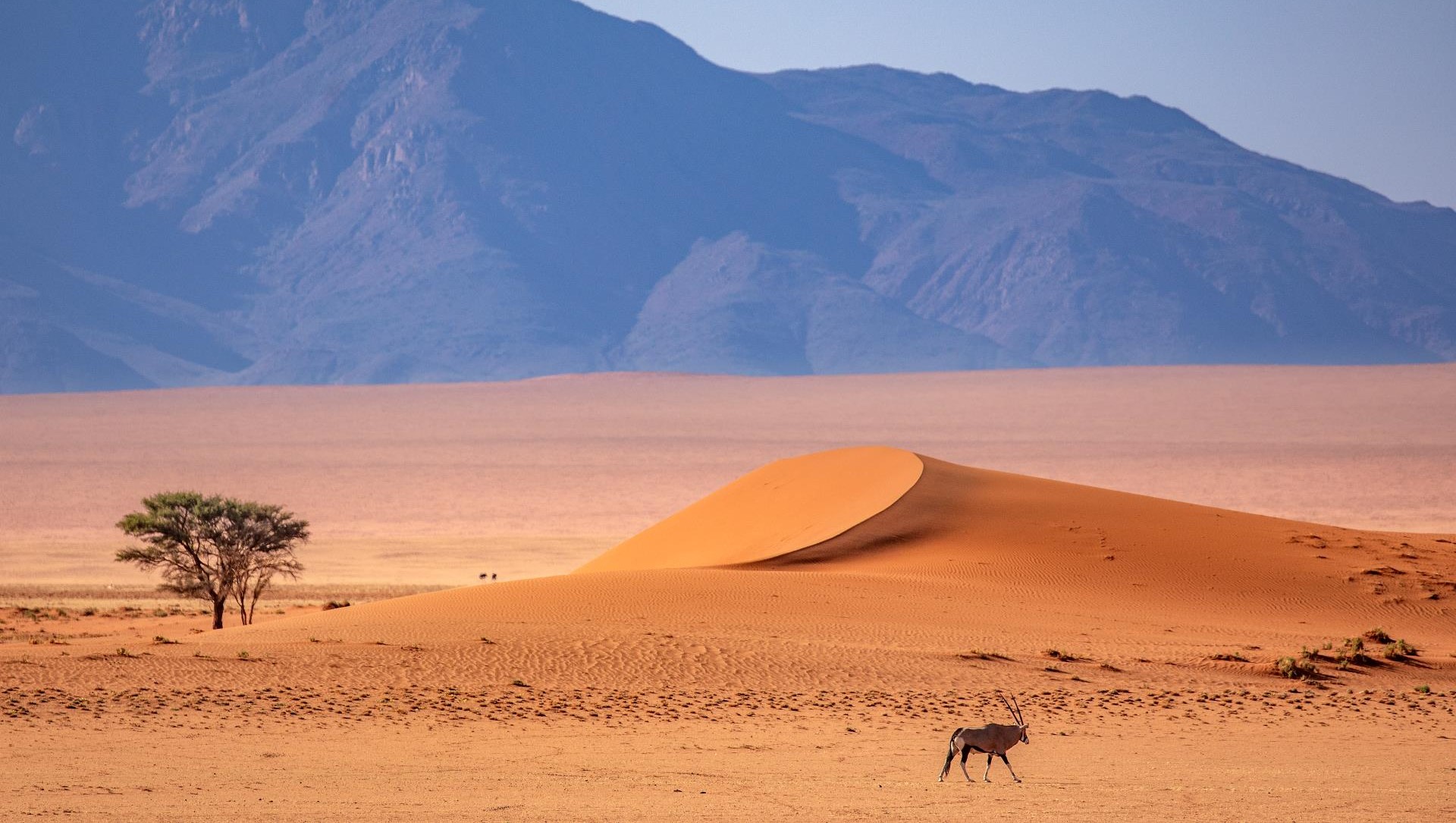 Kwessi Dunes Elela Africa